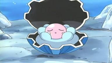 Pokémon 8x1