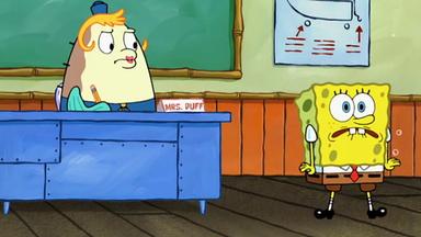 Bob Esponja 8x2
