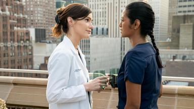 New Amsterdam 4x2