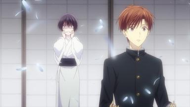 Fruits Basket 2x25
