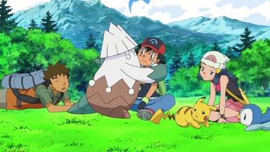 Pokémon 12x17