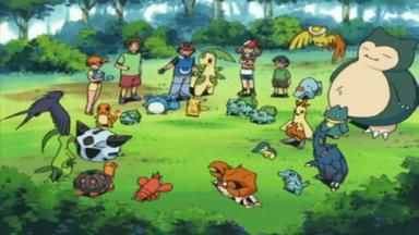 Pokémon 8x41