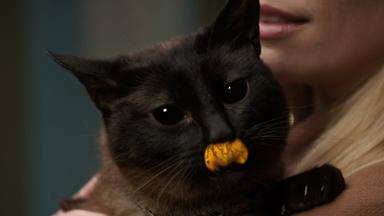 Grimm 1x22