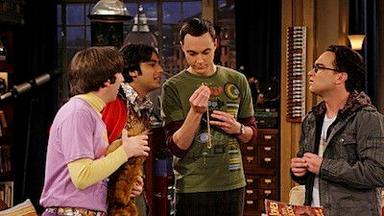 Big Bang 3x17