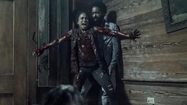 The Walking Dead 11x6