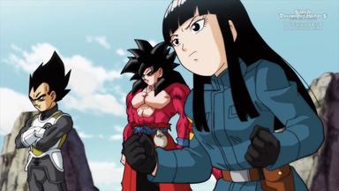 Super Dragon Ball Heroes 1x1