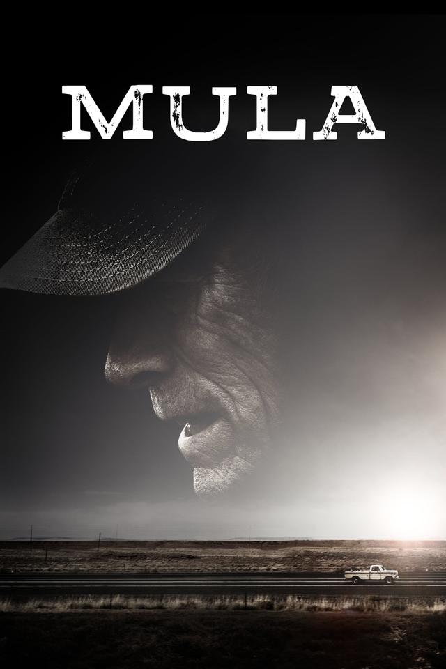 Mula