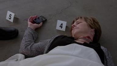 Mentes criminales 9x3