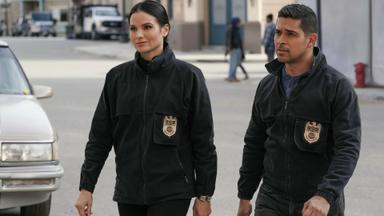 Navy: Investigación criminal 20x14