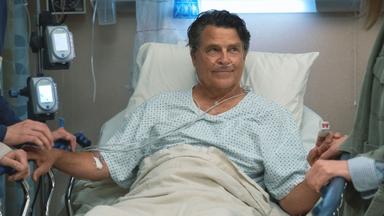 Terapia sin filtro 3x6