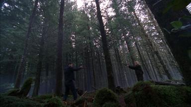 Fringe 2x21