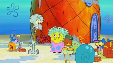 Bob Esponja 9x24