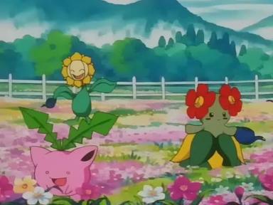 Pokémon 4x21