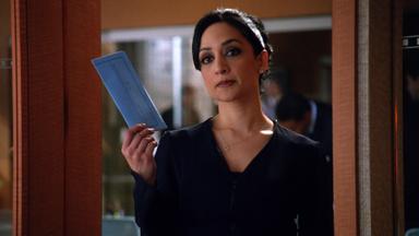 The Good Wife 4x13