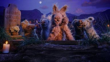 La Llama que Llama: La Serie 1x1