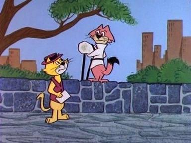 Don Gato y su pandilla 1x24