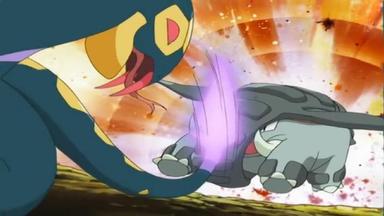 Pokémon 9x13