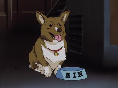Cowboy Bebop 1x16