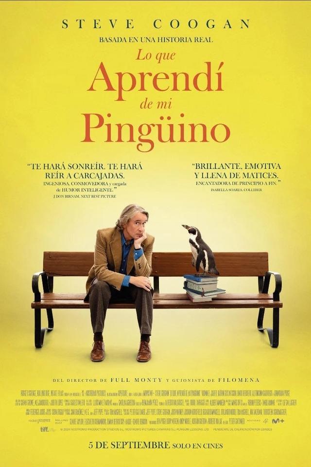 Lo que aprendí de mi pingüino