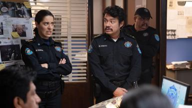 Harina 2x1