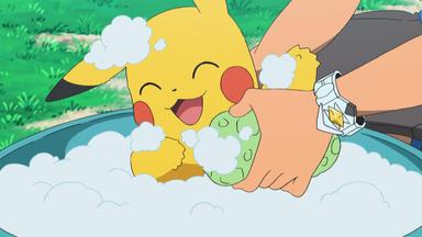 Pokémon 21x4