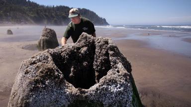 Radiografía de la Tierra: Cataclismos 1x1