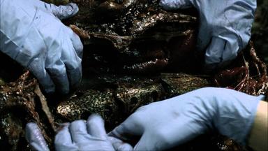 Falling Skies 1x8