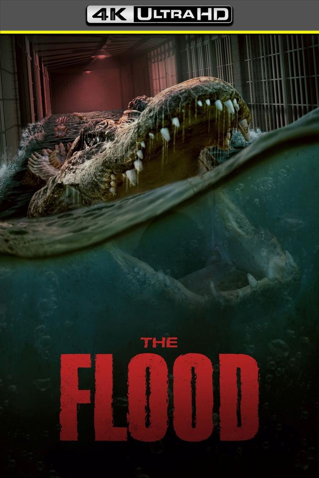 The Flood