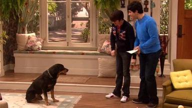 Drake y Josh 4x2