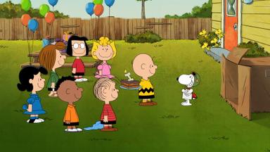El show de Snoopy 2x8