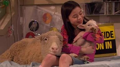 Drake y Josh 3x11