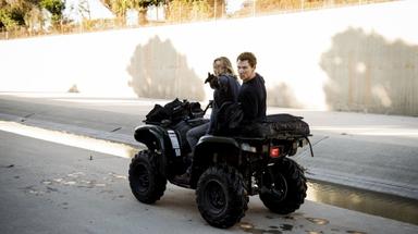 Animal Kingdom 2x1