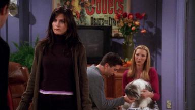 Friends 7x8