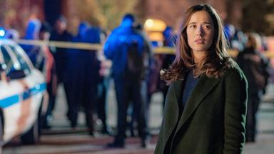 Chicago P.D. 4x10