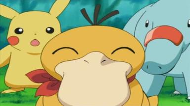 Pokémon 8x48