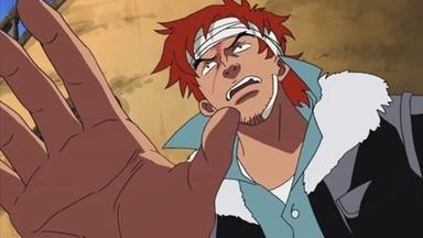 One Piece 9x332