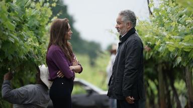 Tierra de oportunidades 1x1