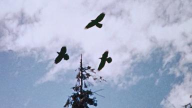 La casa de la pradera 1x20