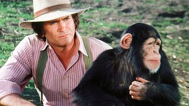 La casa de la pradera 1x18