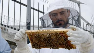 Zac Efron: Con los pies en la tierra 1x7