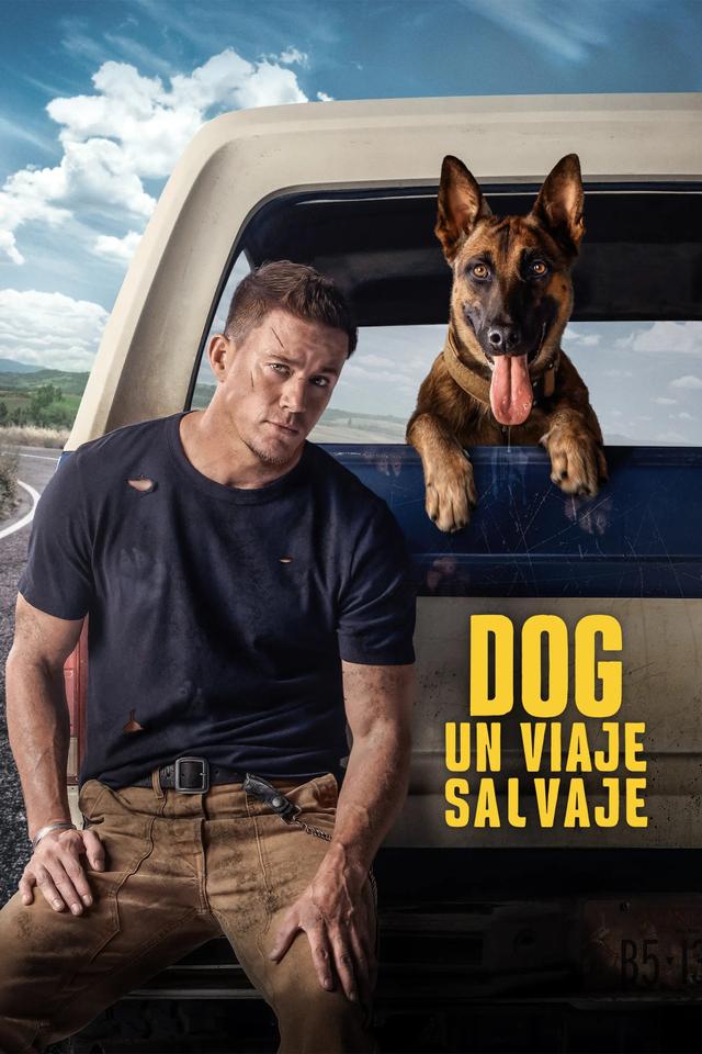 Dog - Un viaje salvaje
